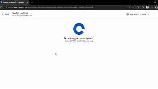 Module 1 challenge Coursera | Assess for Success: Marketing Analytics and Measurement Google