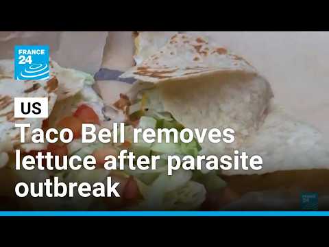 US: Taco Bell removes lettuce after parasite outbreak • FRANCE 24 English