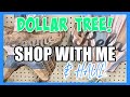 DOLLAR TREE SHOP WITH ME & HAUL! New Items! Check Out What I Found This Week at The Dollar Tree!