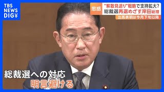 岸田総理「当面解散する考えはない」自民党・総裁選の再選に向け“解散先送り”戦略で支持拡大図る狙い｜TBS NEWS DIG