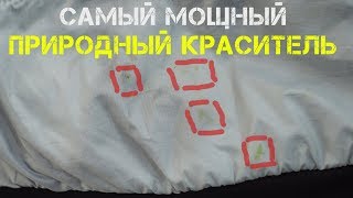 Как удалить жёлтые пятна от тополиных почек