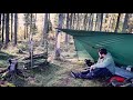 Overnight Bushcraft Camp with my Dog - Adirondack Tarp Shelter, Fire Reflector and Old Man's Beard