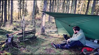 Overnight Bushcraft Camp with my Dog - Adirondack Tarp Shelter, Fire Reflector and Old Man's Beard