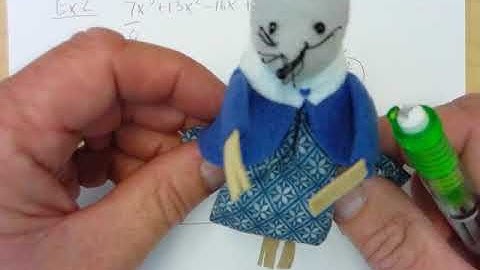 5 5 Theorems about Roots of Polynomial Equations