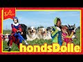 HondsDolle | Dolle Dinsdag
