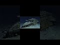 Hace 113 años, Titanic se hundió por una bomba o eso dicen, pero en realidad se hundió por iceberg.