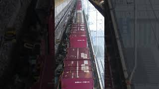 EF64 1003 中央線下り貨物
