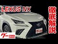 【レクサス NX】10系 NX300h Fスポーツ グーネット動画カタログ_内装からオプションまで徹底解説