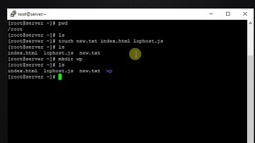 Linux Server - Delete All Files and Folders in Current Directory