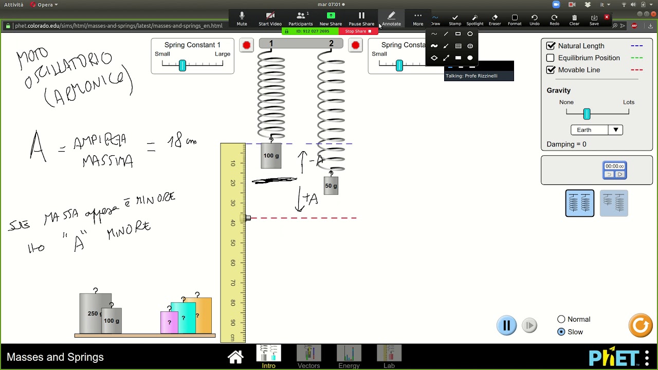 Moto armonico, esperimenti virtuali con molle appese, ampiezza massima e periodo