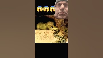 Cat saving babies from python 😰😱 #trending #cat #animals #python #brave #shorts #snake #ytshorts