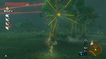 The fast way to do three trees korok seed puzzel. Legend of Zelda: Breath of the wild.