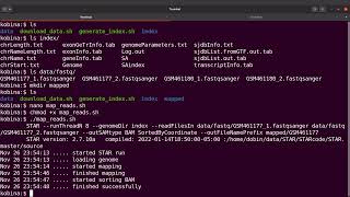 Celebrity bash script for star rna seq tutorial Profile