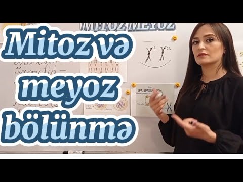 Video: Pteridiumda meioz zamanı baş verir?