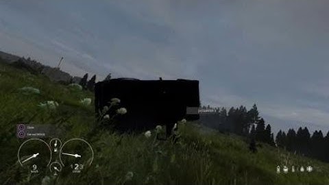 DayZ cheat code