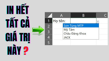 Cách in TẤT CẢ GIÁ TRỊ trong Danh sách thả xuống | Dropdown list Excel