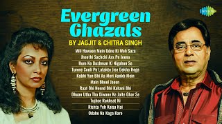 Download Lagu Evergreen Ghazals By Jagjit \u0026 Chitra Singh | MILI HAWAON MEIN UDNE KI WOH SAZA | Hindi Ghazals MP3 Download Lagu Evergreen Ghazals By Jagjit \u0026 Chitra Singh | MILI HAWAON MEIN UDNE KI WOH SAZA | Hindi Ghazals MP3