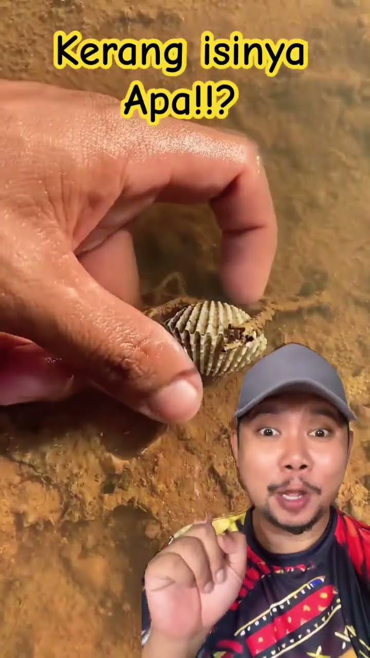 KERANG ISINYA APA HAYO!!???#shorts