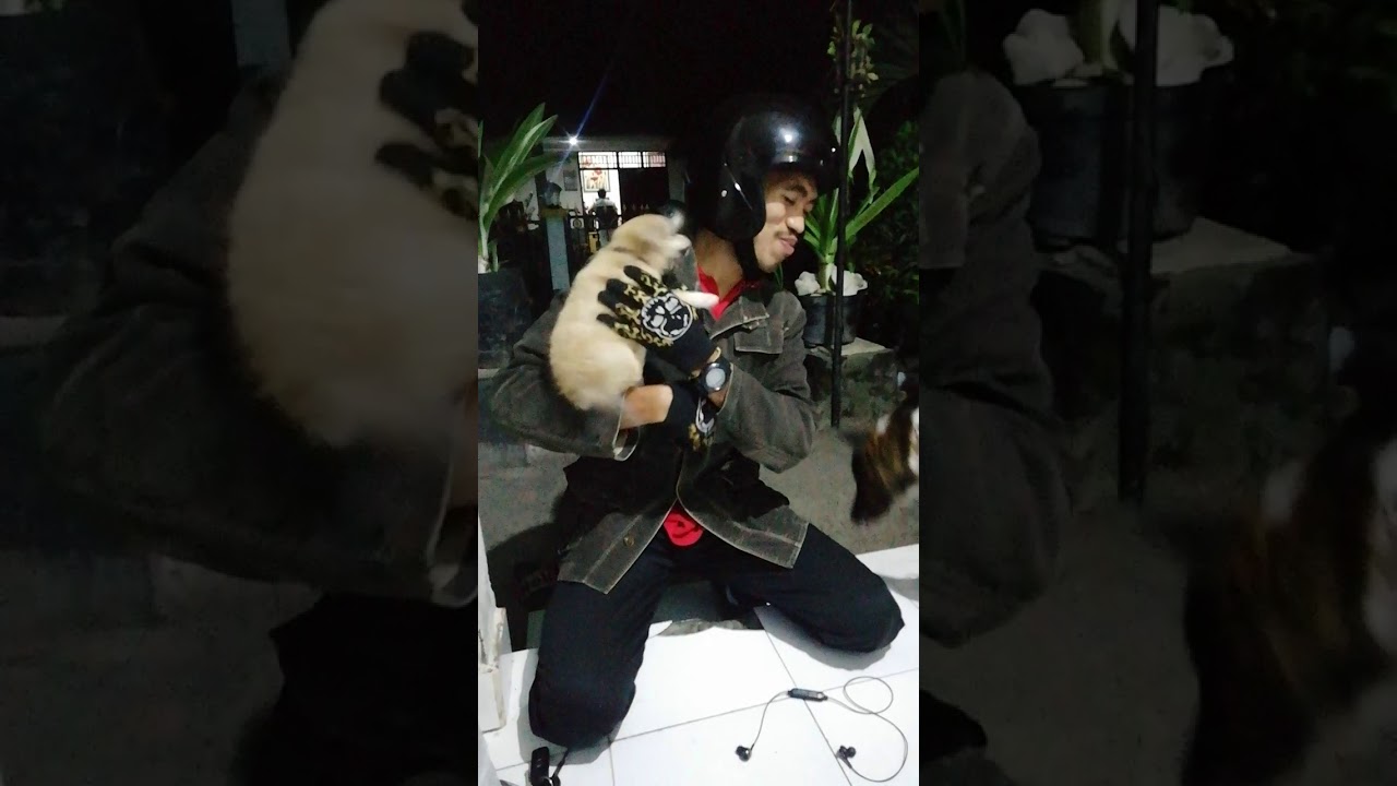 Baru bertemu setelah berpisah 1 mingguðŸ˜˜ðŸ˜˜ðŸ˜˜ - YouTube