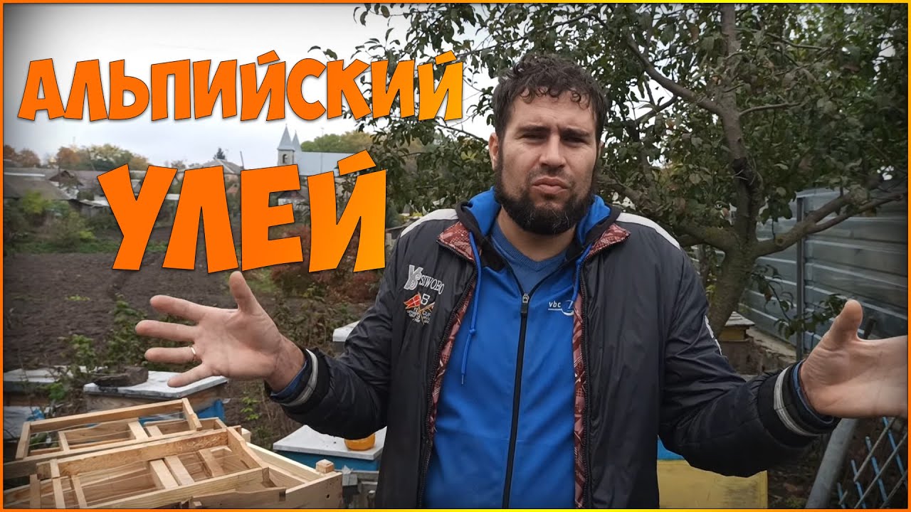 Альпийский улей почему он мне не нужен YouTube