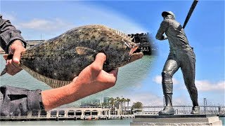 Urban Halibut Fishing!!  San Francisco, California