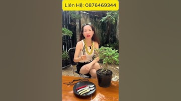 Combo 3 Kéo SK5 Cắt Tỉa Cành Cây - Hotline: 0876469344