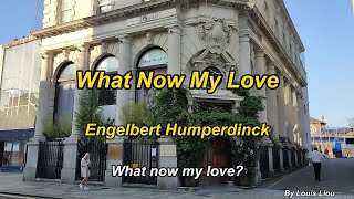 Engelbert Humperdinck - What Now My Love(Street in Southampton, UK)