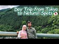 Day Trip From Tokyo to Natural Spots - Beautiful Japanese Nature