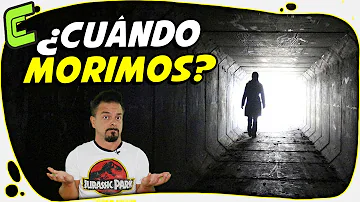 ¿Funciona el cerebro después de la muerte?