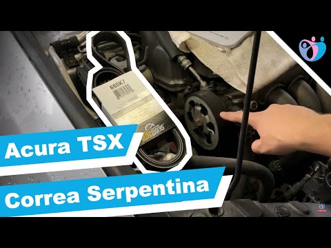 Cómo Reemplazar una Correa Serpentina en un Acura TSX 2005  Tutorial