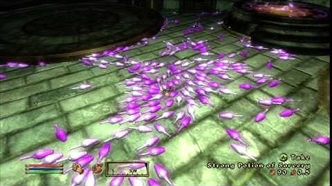 oblivion duplication glitch