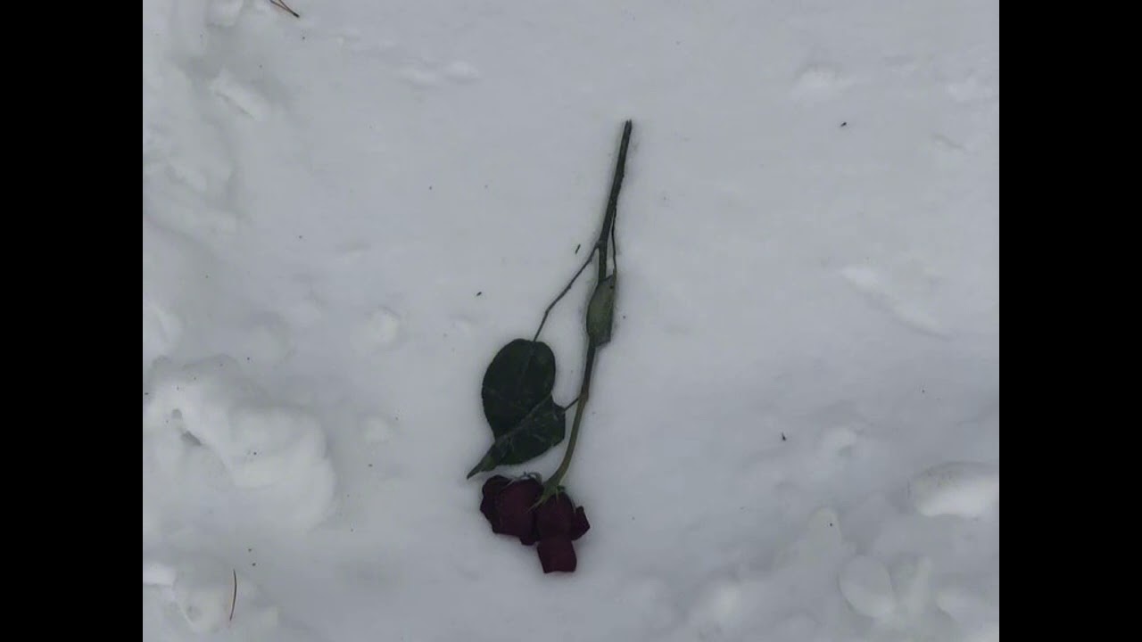 Drifting - imygrim (prod. gehx)