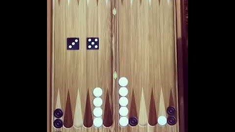 Backgammon Game Time Lapse