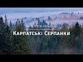 Мандрівки Україною. Грудневі серпанки в Карпатах (December fogs in the Carpathians)