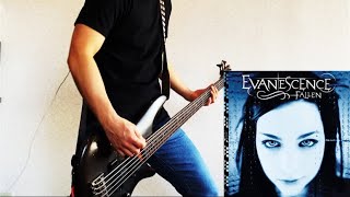 Evanescence - Bring Me To Life  ||  Bass Cover