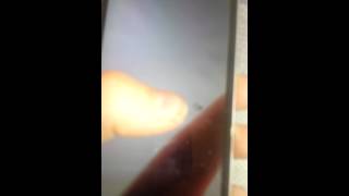 Ipod touch hammer test sort of a hammer