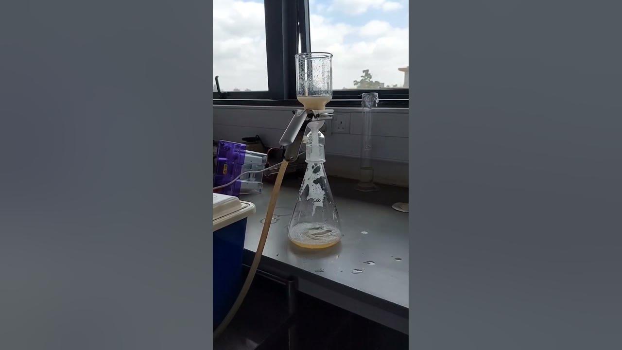 Phenytoin synthesis in the lab pharmacy practical pharmacystudent