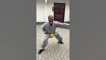 I Learned Kung Fu Ishowspeed 
