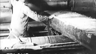 Lumber From Forest To Mill, 1926
