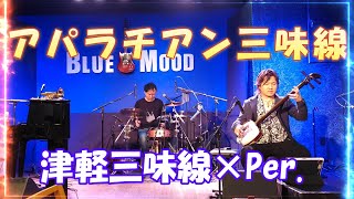 三味線　演奏会用 000000002231-01-l.jpg?t=