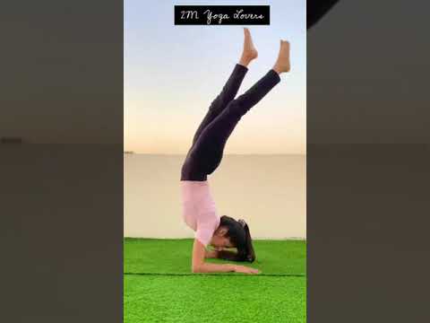 Protein Shake Glp1 Journey For Weight Loss Transformation