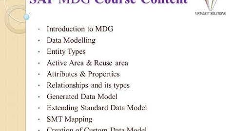 SAP MDG Training Video Tutorial