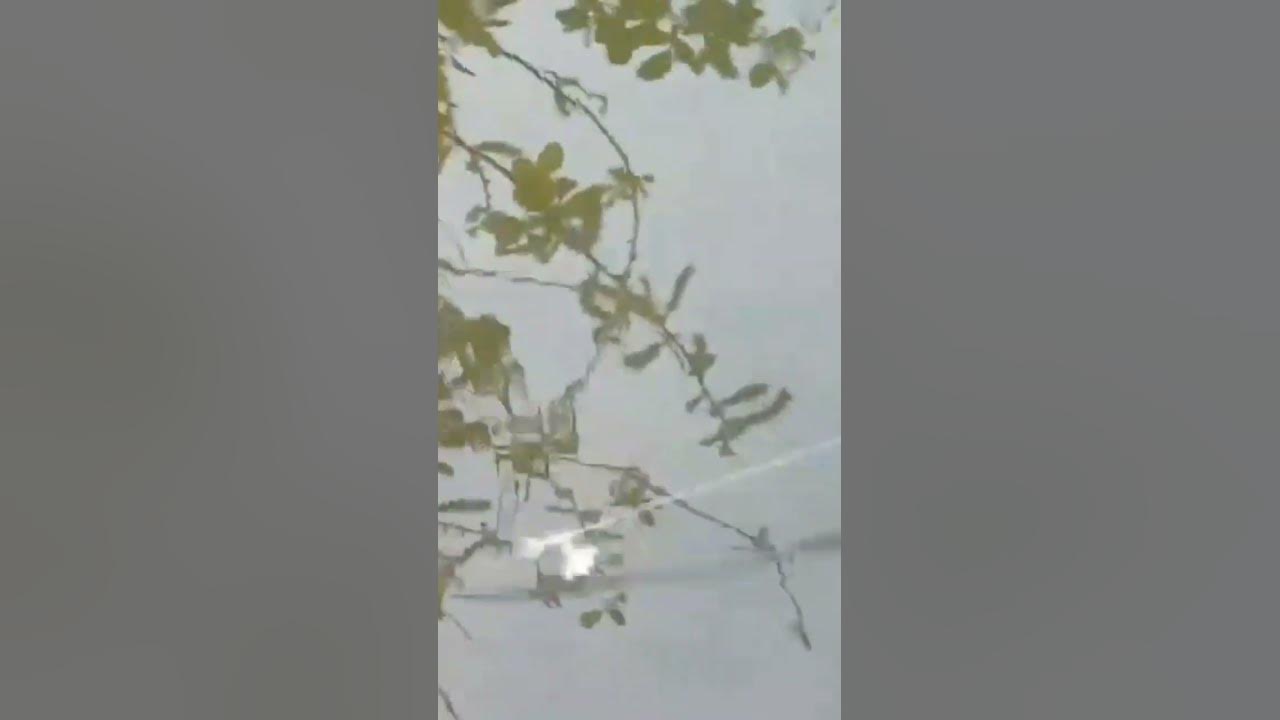 рыбка бычок самый интересный момент 2 🐟 - YouTube