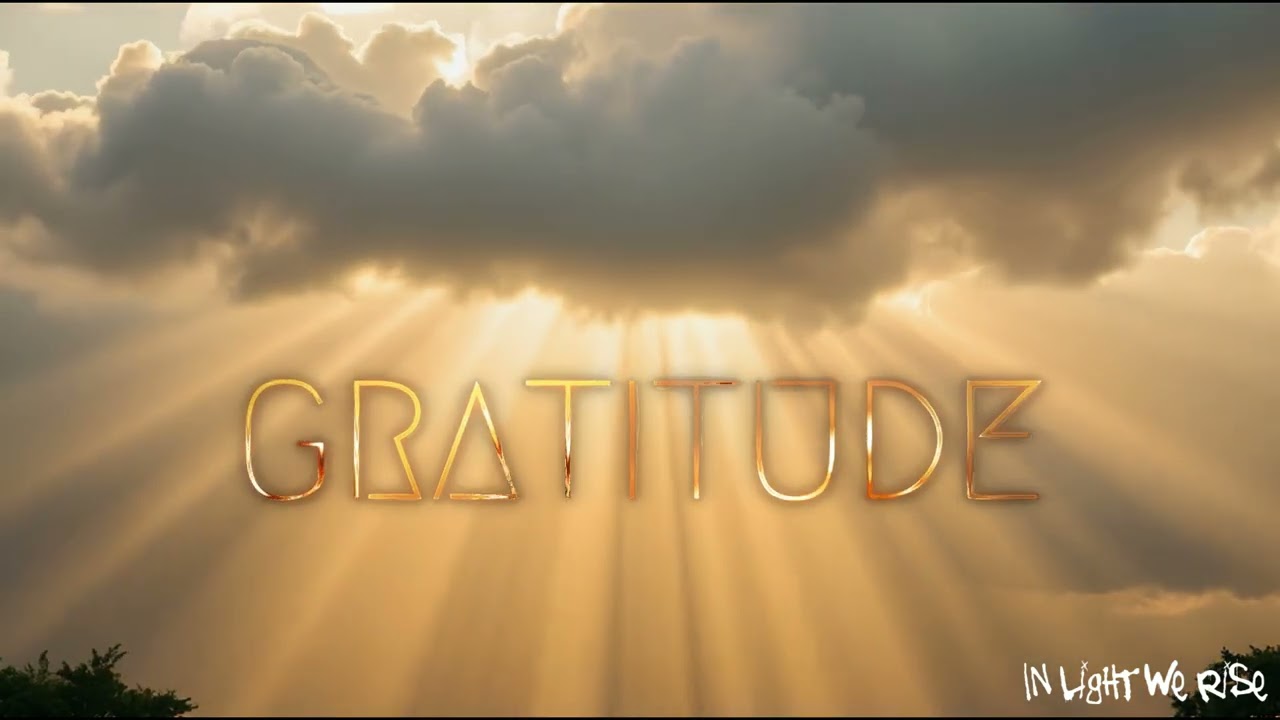 In Light We Rise - Gratitude