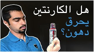 هل الكارنتيين يحرق الدهون؟ | (شرح 12 دراسة علمية)