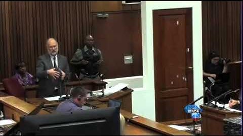 Pistorius Trial: Reeva's supposed magazine rack fall, highly unlikely according to Dixon