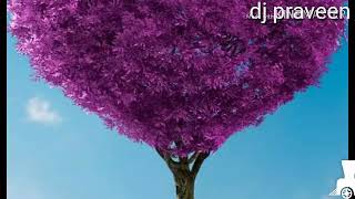 Sachiya mohbta 've dj songs mixing dj praveen JEJUSAR