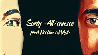ŠORTY - ALL I CAN SEE (prod. HOODINI x MIKELO) LYRICS VIDEO 2016