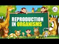 #Biomentors #NEET 2021 Batch: Biology -  Reproduction in Organisms Lecture - 7