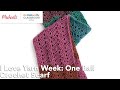 Online Class: I Love Yarn Week: One Ball Crochet Scarf | Michaels